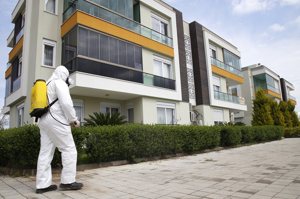 Dedetizadora no Brás: soluções profissionais em controle de pragas