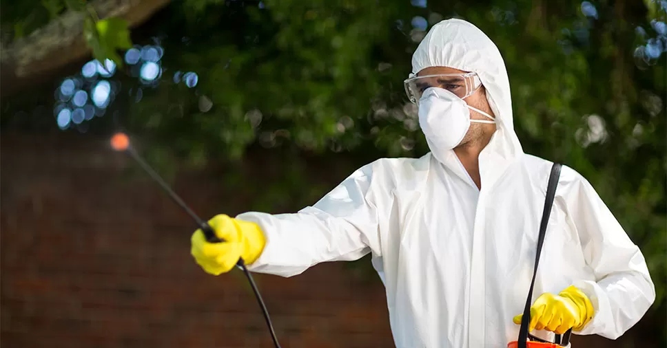 Dedetizadora em Santa Ifigênia em SP