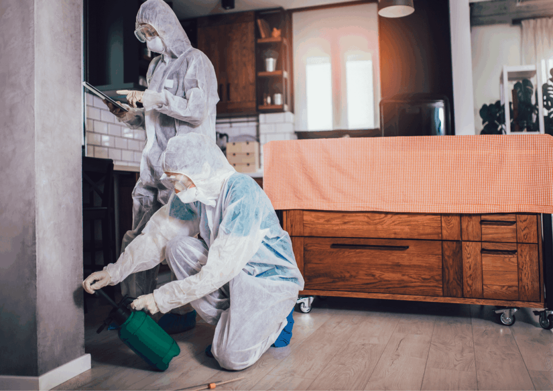 Dedetizadora 24 horas perto de mim: como encontrar atendimento de emergência com segurança e critério técnico