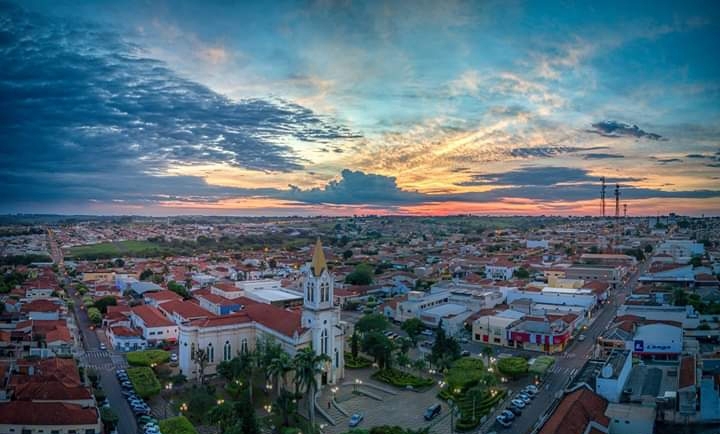 Dedetizadora no José Bonifácio