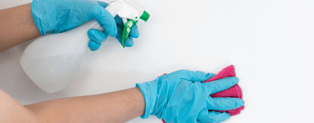 Por que o tempo de ausência após a dedetização é uma questão de segurança, não de preferência