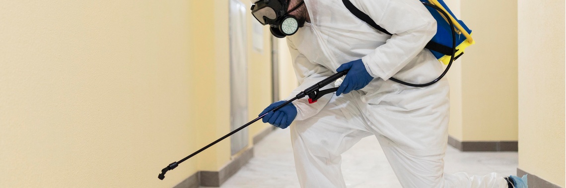 Dedetizadora residencial